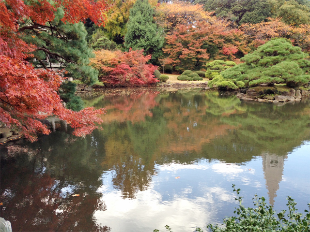 新宿御苑の紅葉