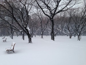 snow_1