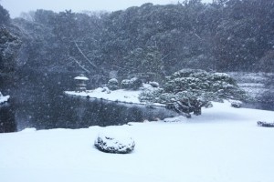 雪の新宿御苑