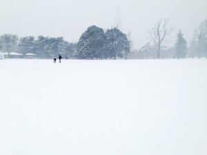 雪の新宿御苑