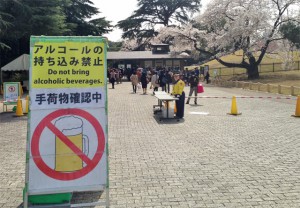 新宿御苑の桜