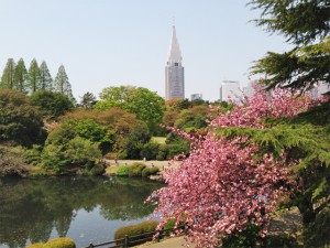 新宿御苑