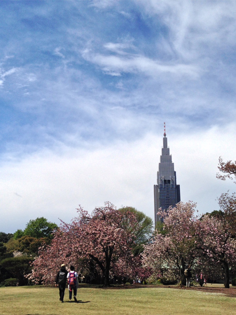 新宿御苑の桜