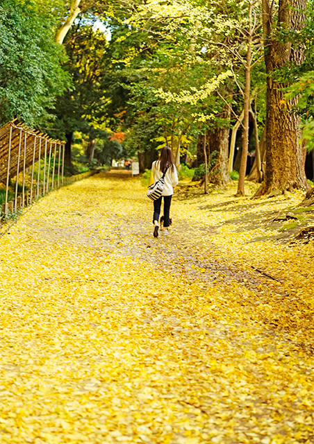 新宿御苑の紅葉